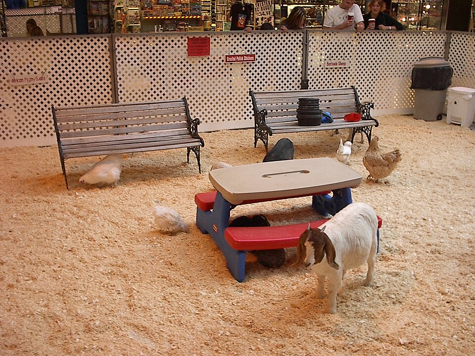 Kinderboerderij Berkum