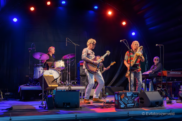 Bluesworld Café: Cat Fever Band — muziek in Zwolle