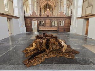 Bianca Runge | Expositie: Labyrint van de Toekomst – Onderhuids — museum-expo in Zwolle