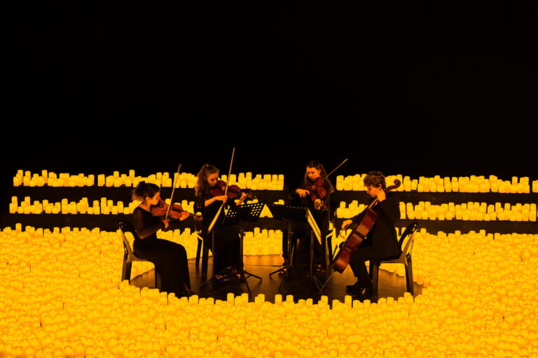 Candlelight Concerts | Vivaldi’s Four Seasons — muziek in Zwolle