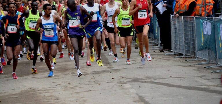 Triathlon Zwolle — sport in Zwolle